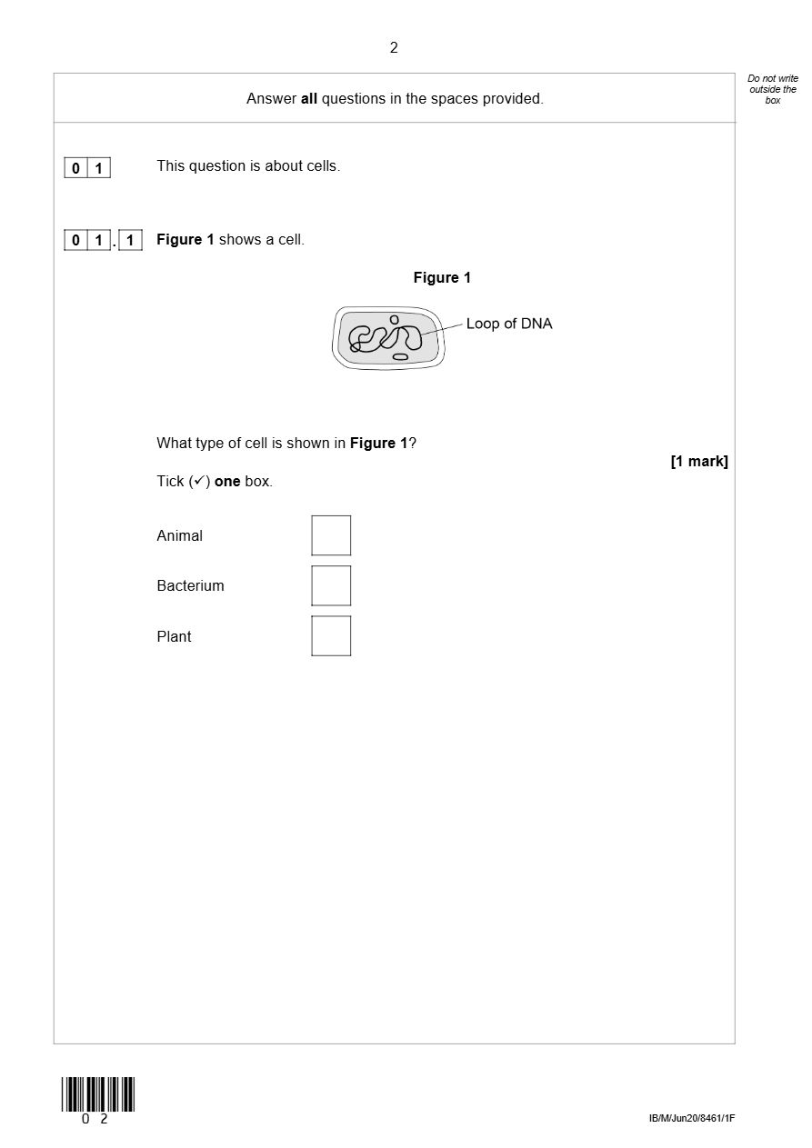 PDF page 2