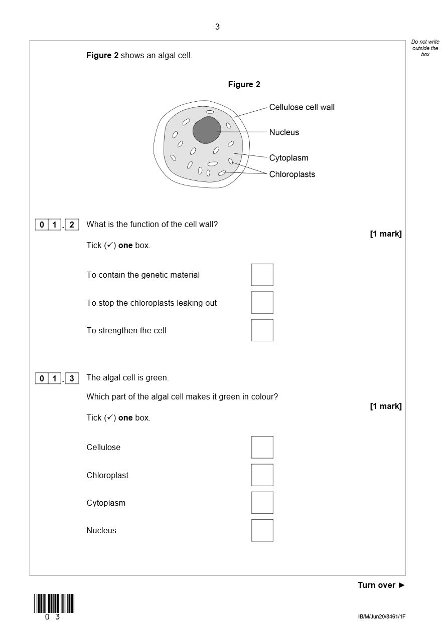 PDF page 3