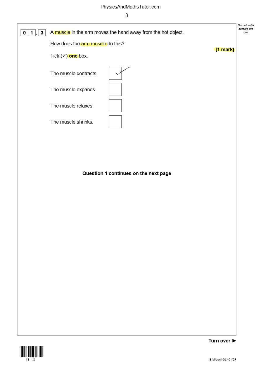 PDF page 3