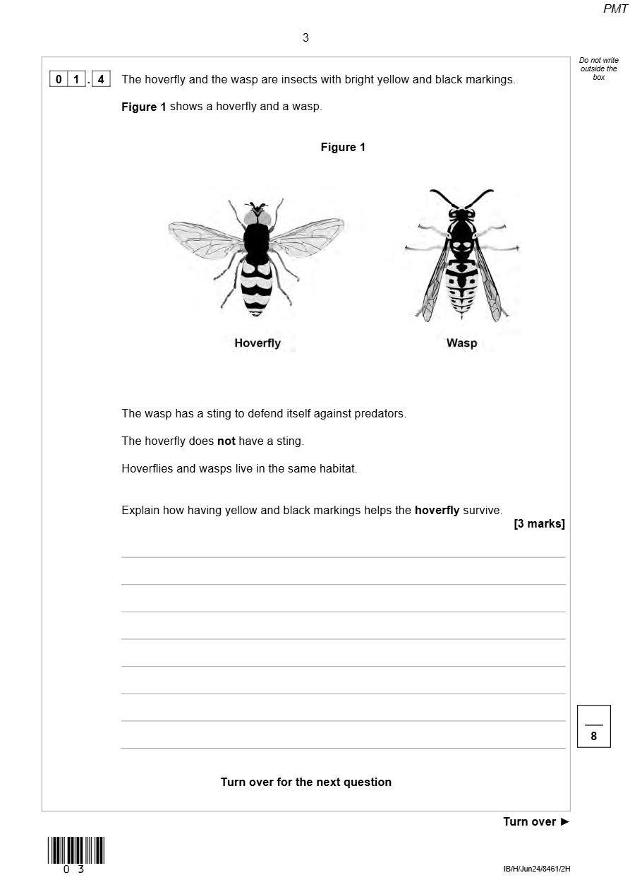 PDF page 3