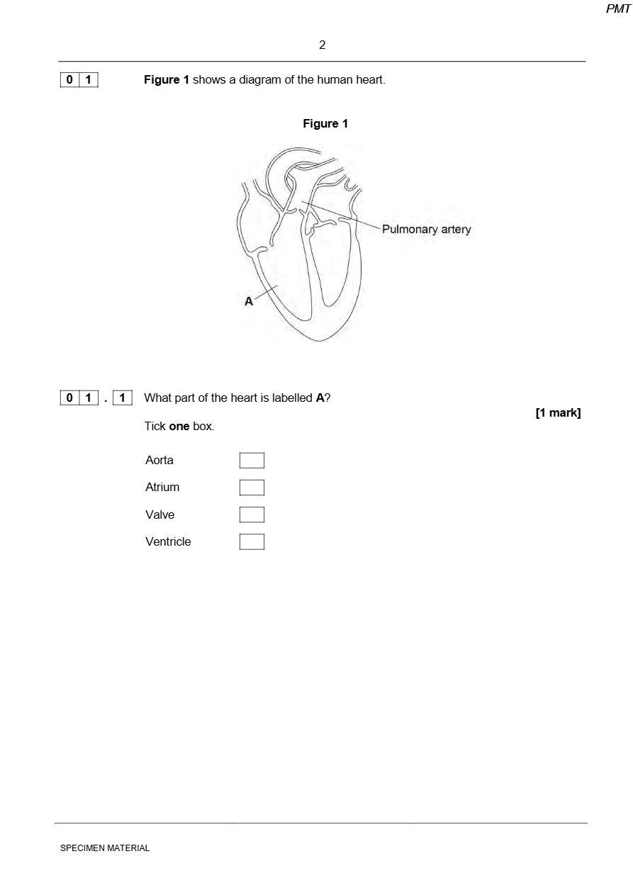 PDF page 2