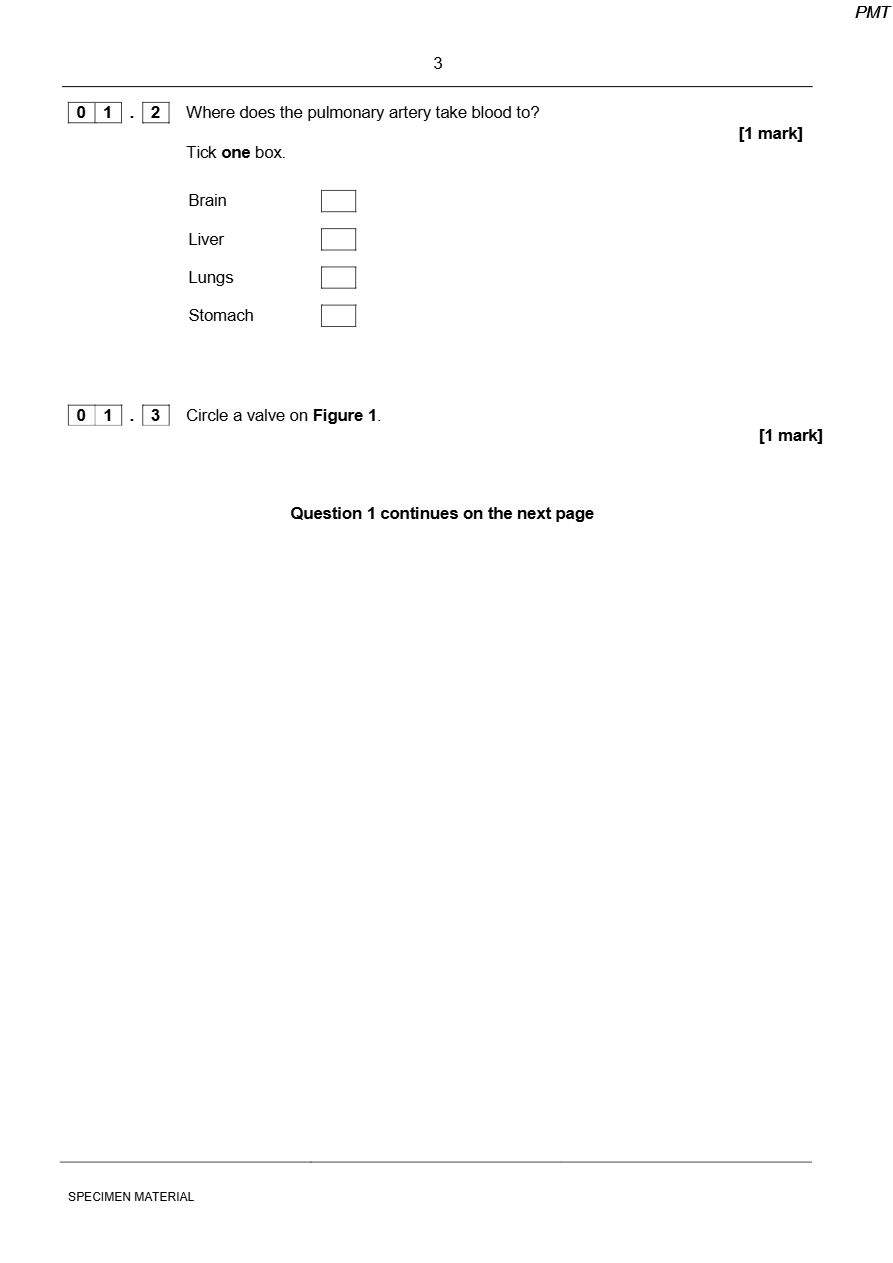 PDF page 3