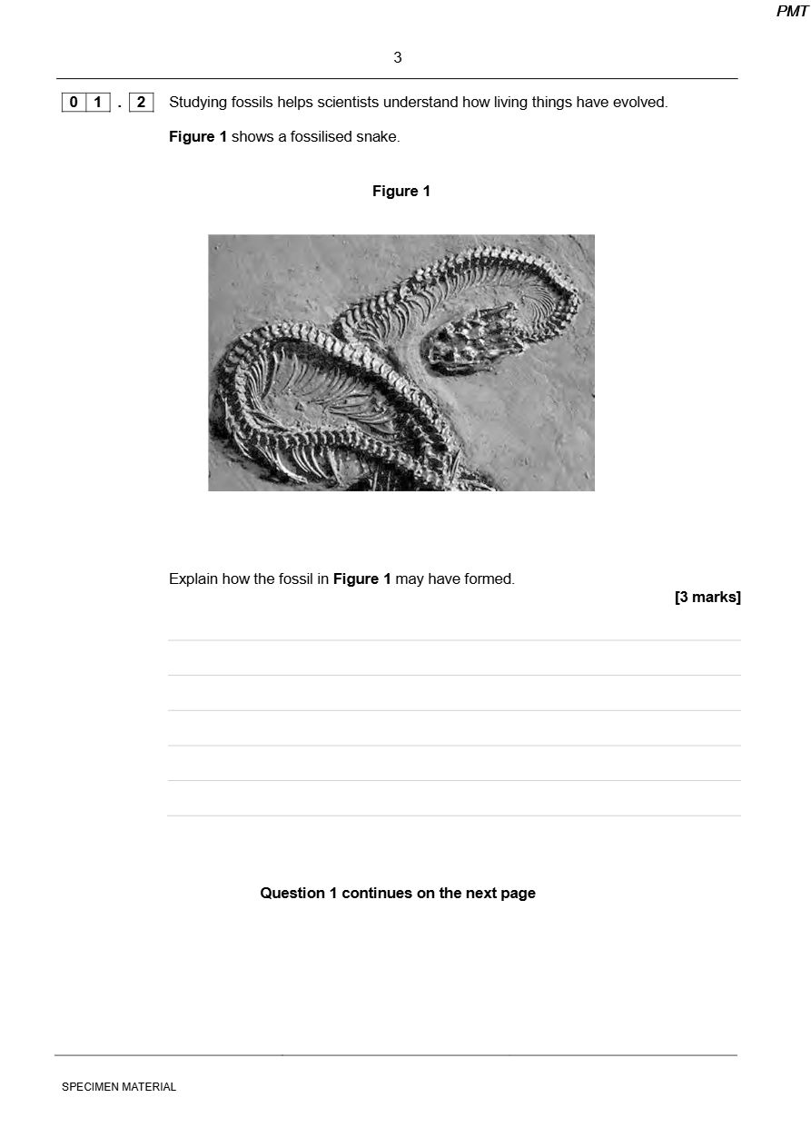 PDF page 3