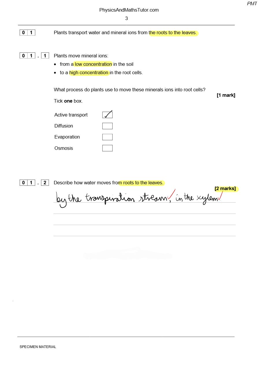 PDF page 3