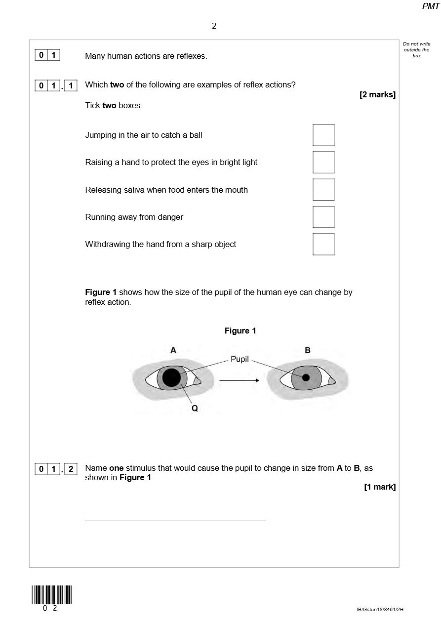 PDF page 2