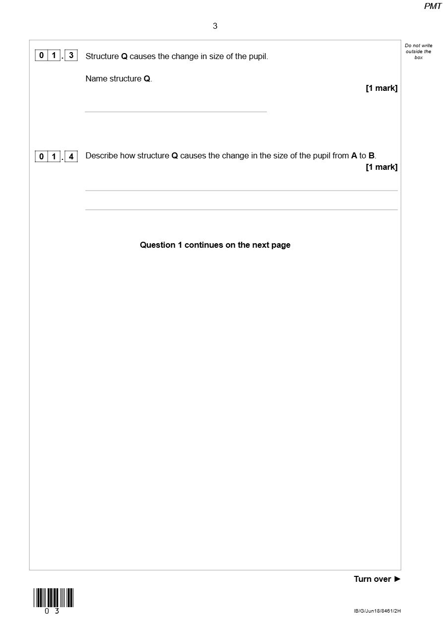 PDF page 3