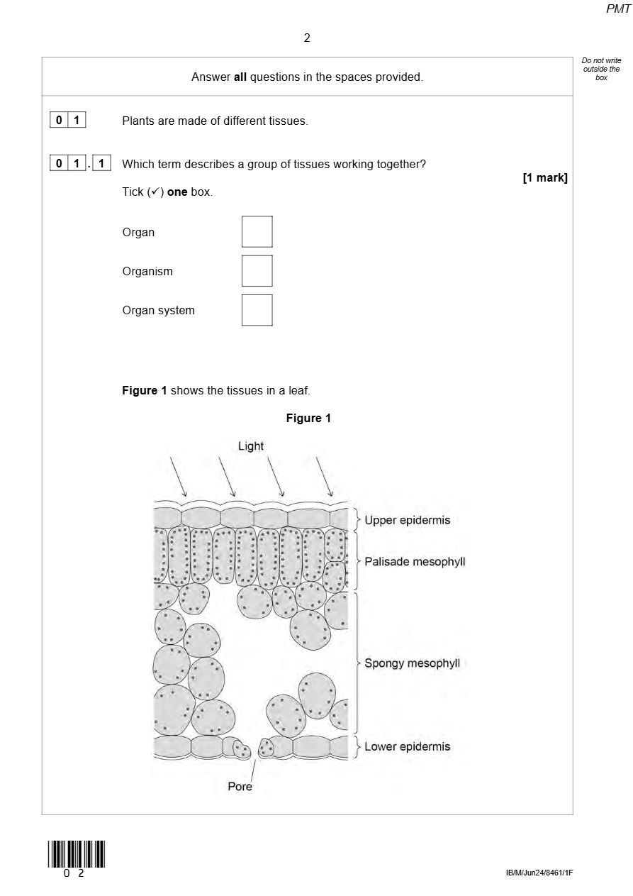 PDF page 2