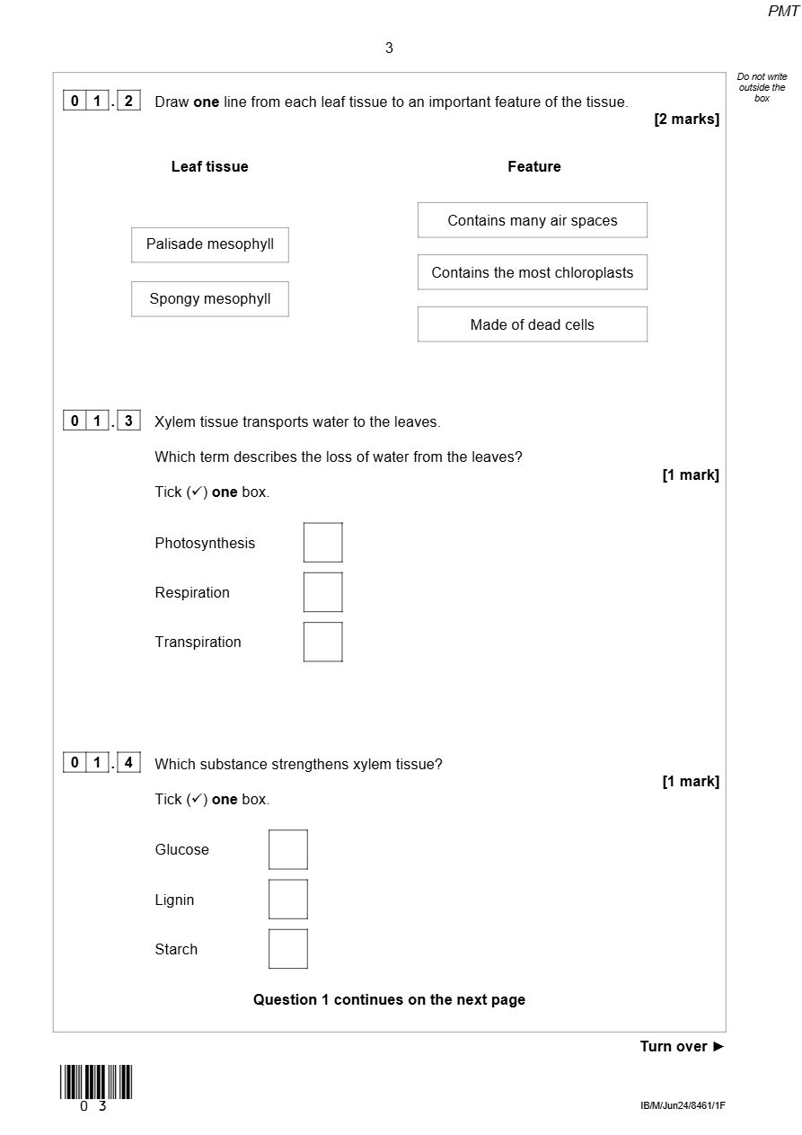 PDF page 3