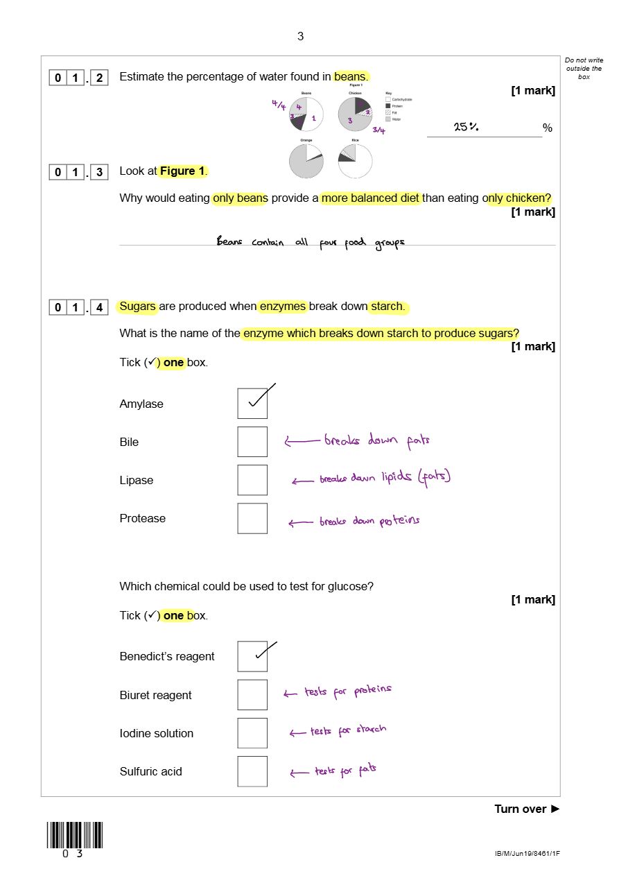 PDF page 3