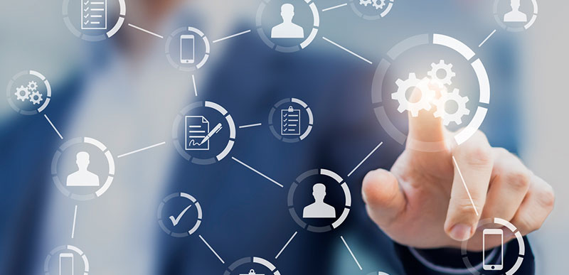 Network cables connected to a switch.