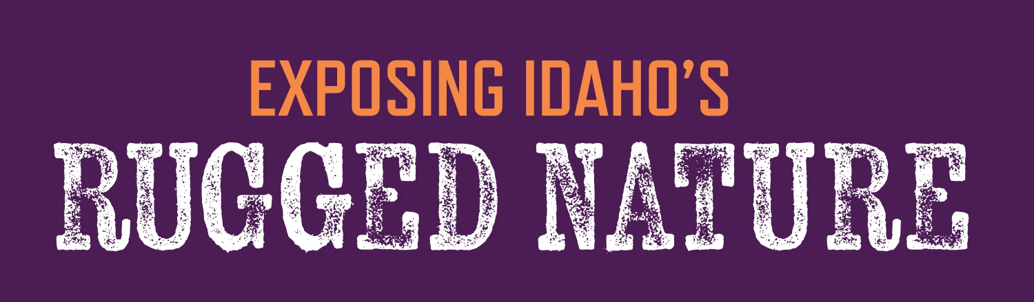 Exposing Idaho's Rugged Nature