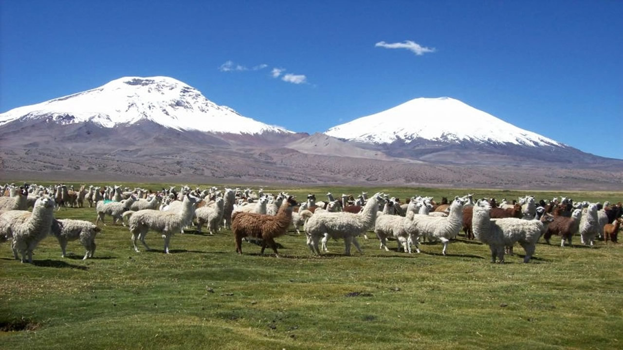 Lake Chungará: The Turquoise Mirror of the Altiplano - 0