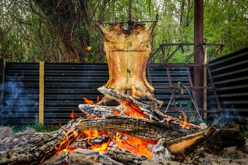 Full Day Tierra de Ovejeros: Tradición y Cultura Gaucha en Cerro Castillo