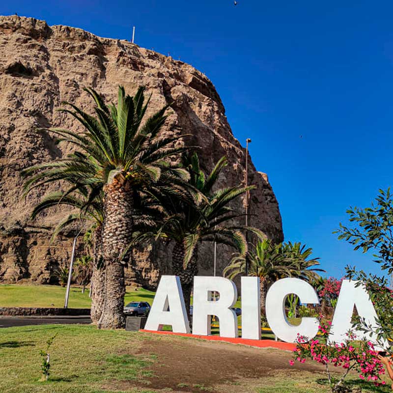 Arica City Tour & Azapa Valley: History, Beaches & Chinchorro Archaeology