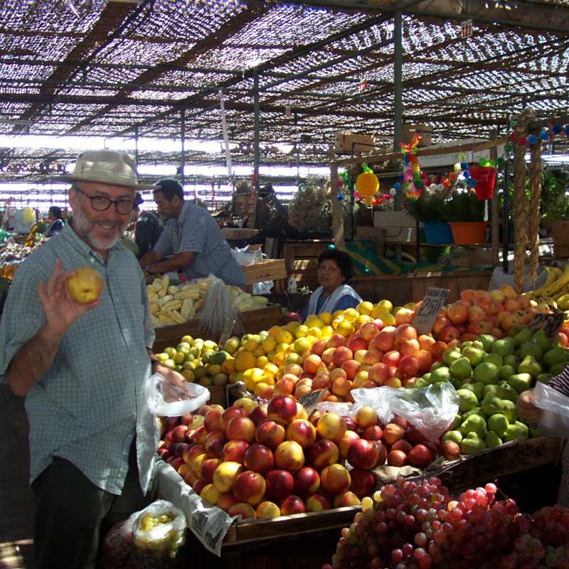 Arica City Tour & Azapa Valley: History, Beaches & Chinchorro Archaeology 3