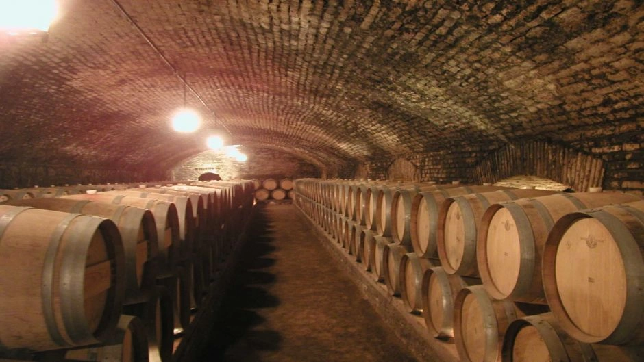 Tour Viña Concha y Toro: La Leyenda del Vino en Pirque 2