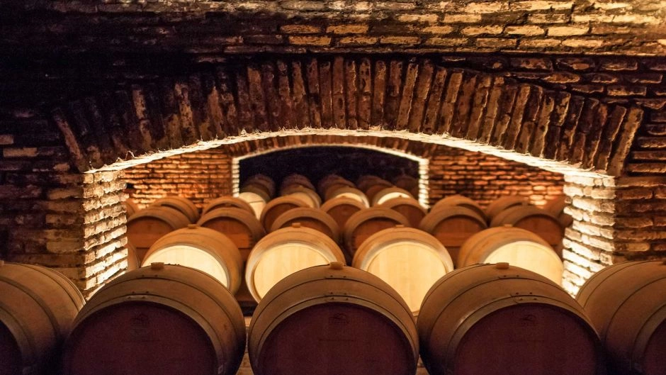 Tour Viña Concha y Toro: La Leyenda del Vino en Pirque 3