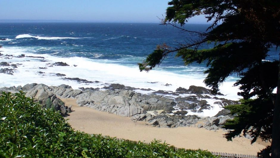 Pablo Neruda Tour: Isla Negra, Poetry, and Pomaire Crafts 3