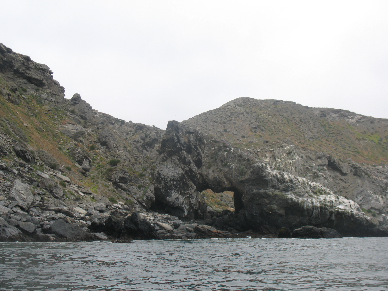 Full-Day Tour: Isla Damas & Humboldt Penguin National Reserve 2
