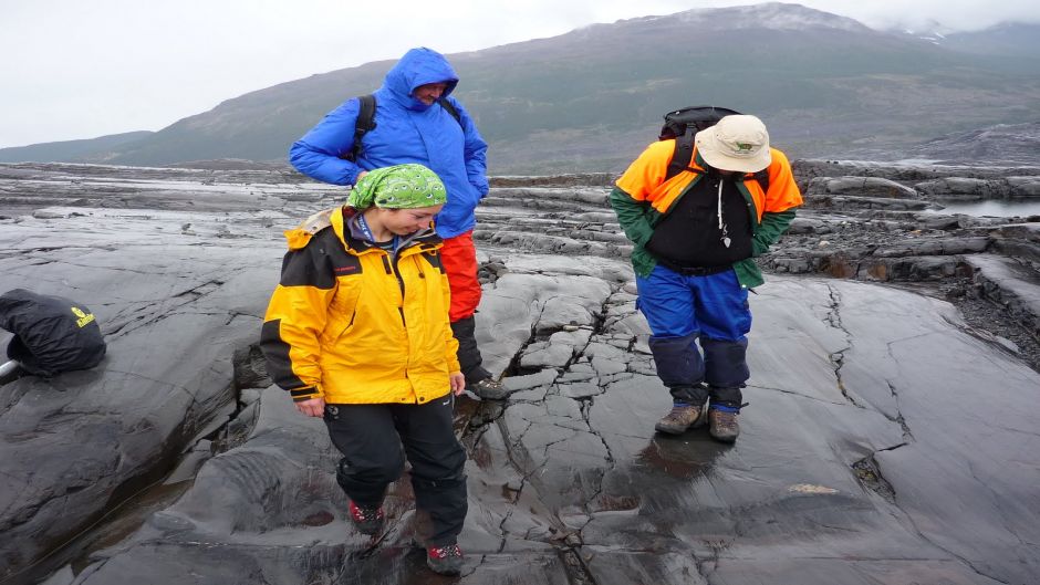 Trekking en Reserva Magallanes: Exploración del Bosque Austral y Vistas Panorámicas 2