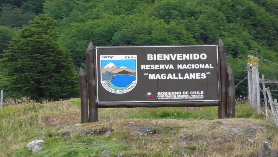Trekking en Reserva Magallanes: Exploración del Bosque Austral y Vistas Panorámicas 3