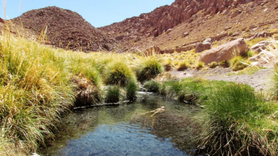 Puritama Hot Springs: Relaxation Oasis in the Desert at 3,400 Meters 2