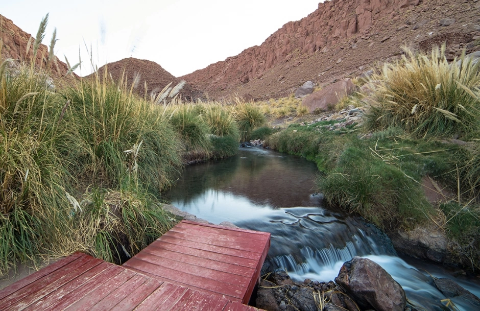 Puritama Hot Springs: Relaxation Oasis in the Desert at 3,400 Meters 3