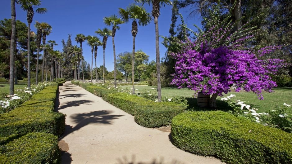 Classic Undurraga Winery Tour: Heritage & Tasting in Maipo Valley 2