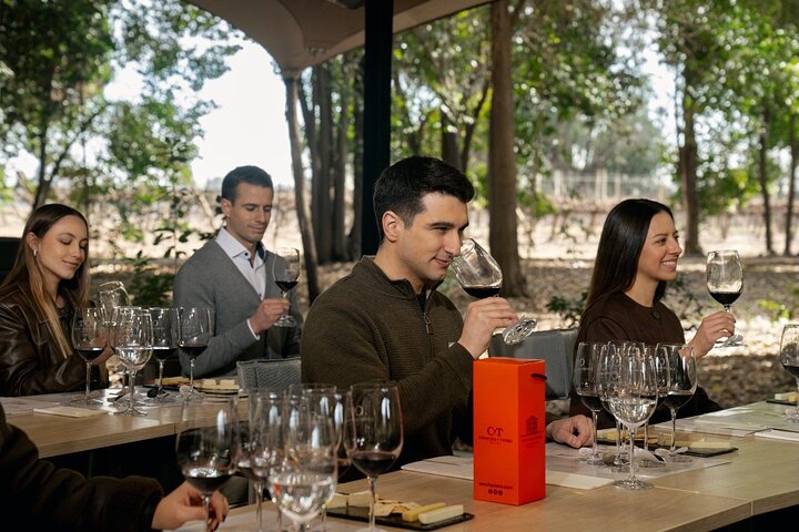 Marqués de Casa Concha Tour: Premium Tasting at Concha y Toro 3