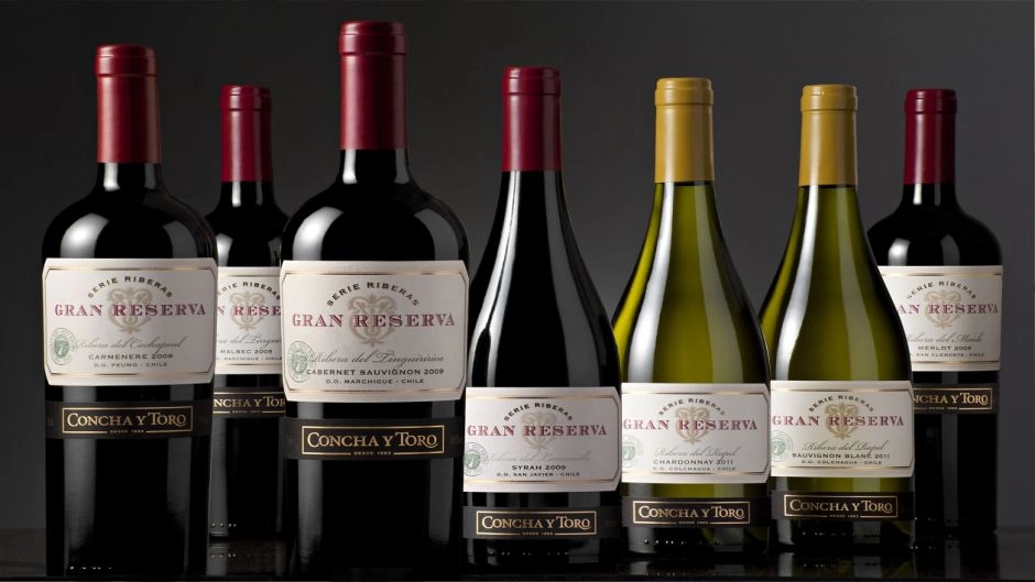 Maipo Wine Tour: Classics Concha y Toro & Undurraga 2