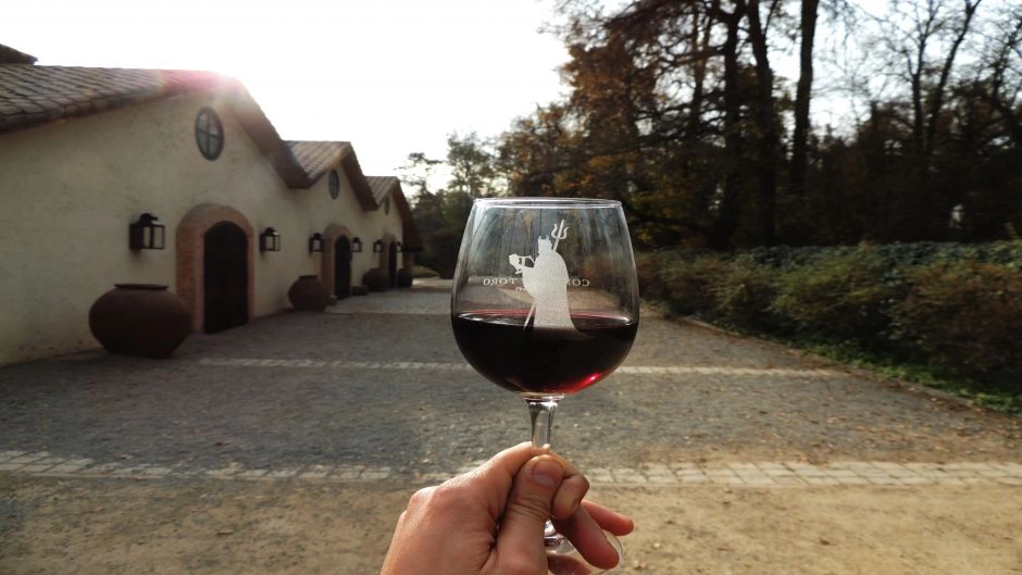Maipo Wine Tour: Classics Concha y Toro & Undurraga 3