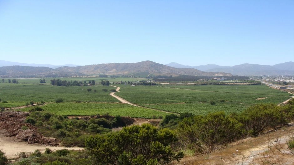 Casablanca Valley Wine Tour: Veramonte and Casas del Bosque 2