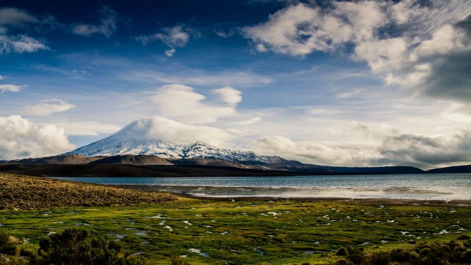Tour de Dia Inteiro: Parque Nacional Lauca e Lago Chungará