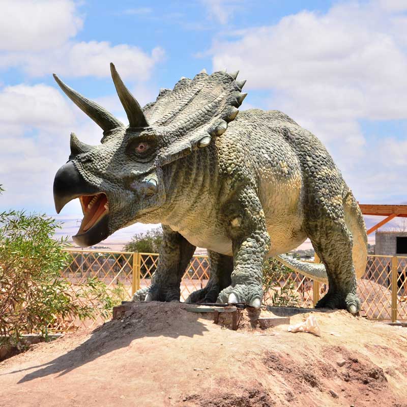 Full-Day Tour: Humberstone Saltpeter Works, La Tirana Sanctuary & Pica Oasis 3