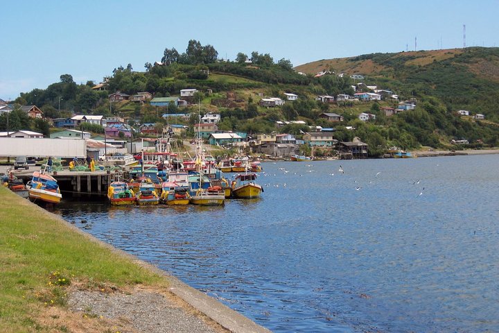 Tour de Día Completo: Chiloé Místico, Palafitos de Castro y Dalcahue desde Puerto Montt 2