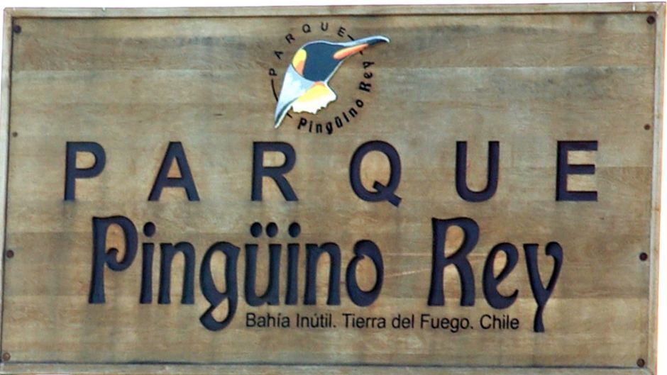 Tierra del Fuego and King Penguin Park: Home of the Austral Giant 2