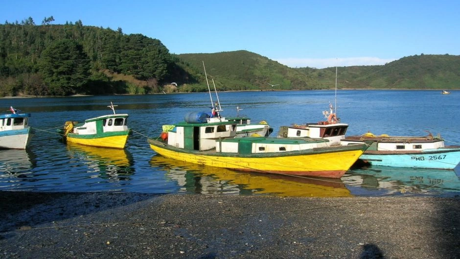 City Tour Puerto Montt - Puerto Varas: Herencia Alemana y Vistas Volcánicas