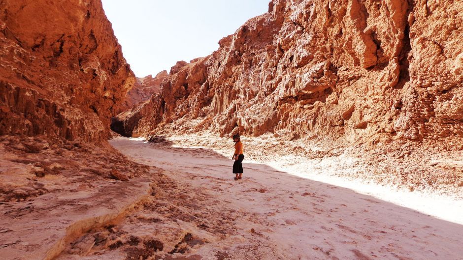 Combo de Excursiones Magic Desert 3