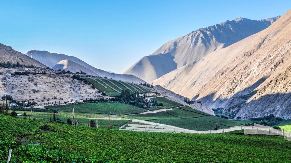 Tour de Día Completo al Valle del Elqui: Vicuña, Pisco y la Ruta de Gabriela Mistral 3