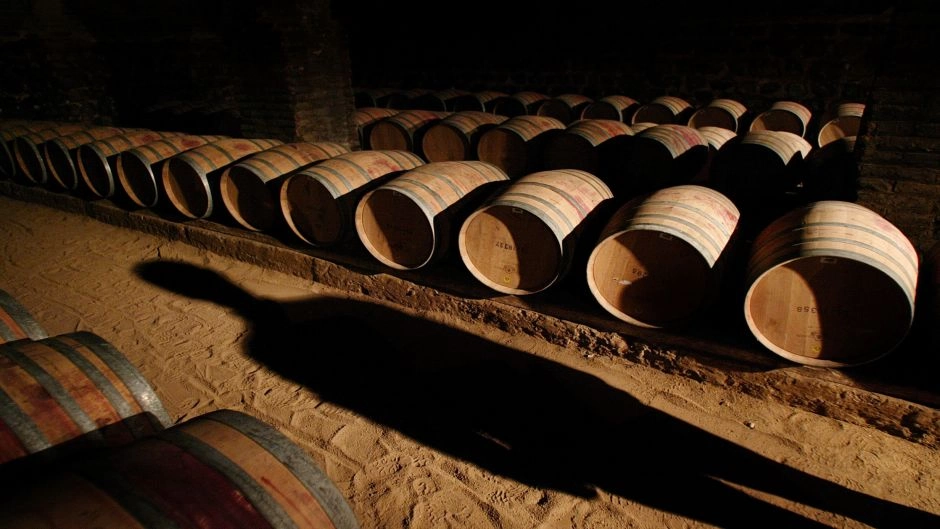 Wine Tour: Viña Santa Rita - Maipo's Heritage and History 2