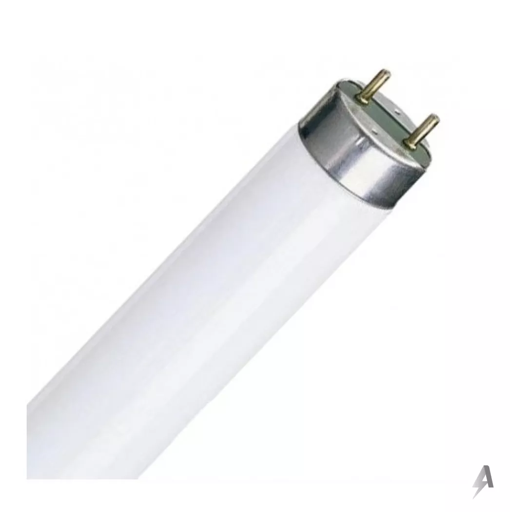 Tubo Fluorescentes 120 cm
