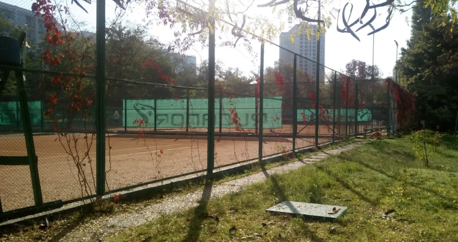 Попов - Теннис