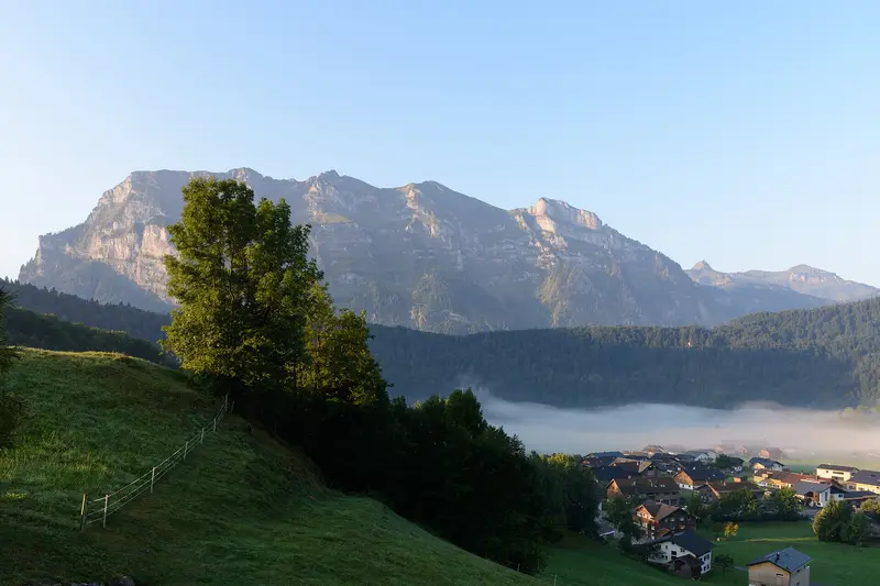 Bregenz Forest
