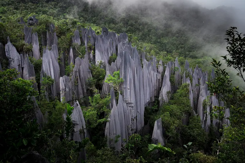 Sarawak (Malaysian Borneo)