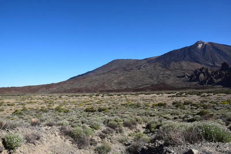 Canary Islands