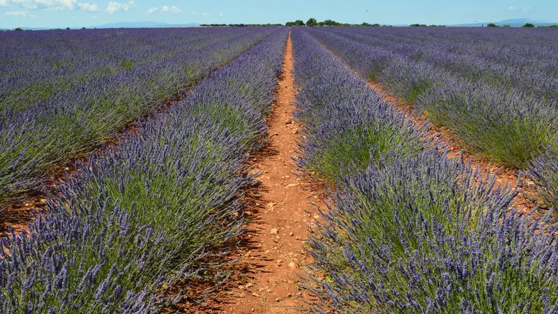 Southeast France (Provence & Côte d'Azur)