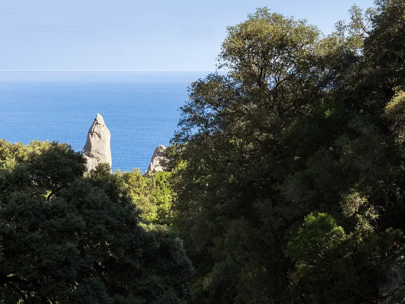 Sardinia