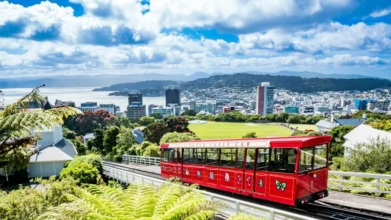 Wellington & Southern North Island