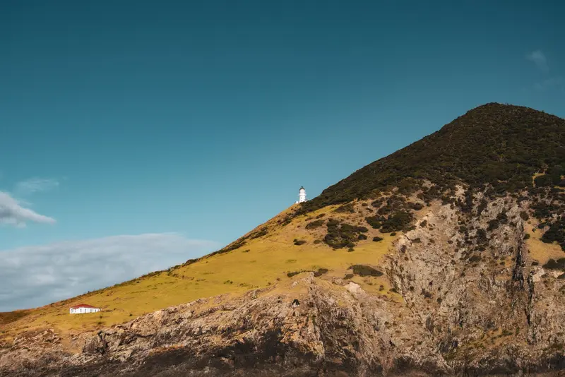 Nordland & Bay of Islands