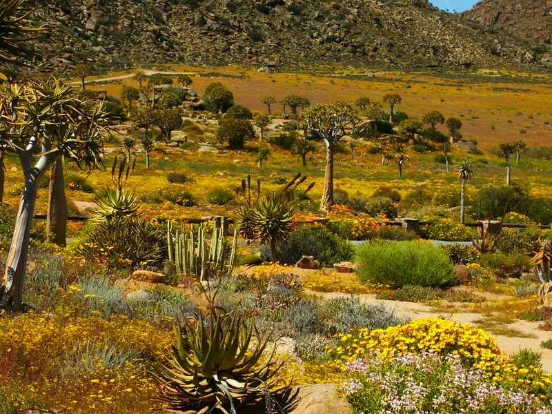 North Cape & Kgalagadi